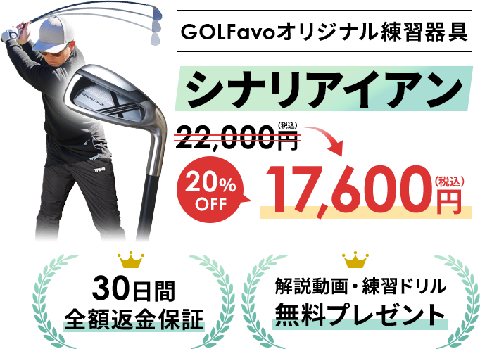 SHINARI IRON シナリアイアン シナリアイアン – ゴルファボ｜公式